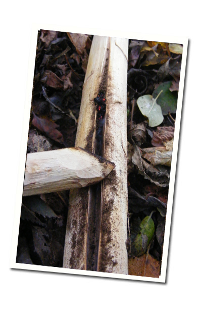 fire plough